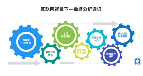 互联网行业数据分析通识（上） 互联网数据服务