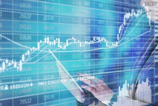 大数据产业峰会召开在即，互联网数据服务迎来发展新机遇